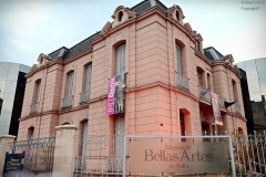 El Museo de Bellas Artes