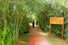 parque-Nacional-Iguazu-3