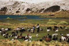 Turismo Rural en Mendoza