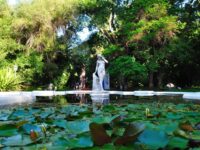 Jardin Botanico de Buenos Aires: Donde y Cómo Visitarlo
